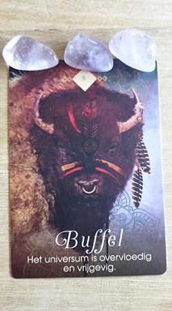 Kaart 3: Buffel - Het universum is overvloedig en vrijgevig